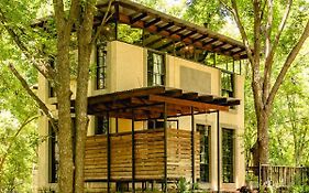 Porcupine House